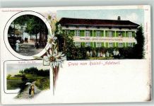 8345 Adetswil 1910 - Rosinli