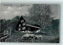 8890 Flums - Ferienhaus Frieden, gute Erhaltung AK