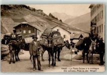 3906 Saas-Fee - Die schweiz. Post in den Bergen Packpferde Nr 4430 Ort lt. Stempel