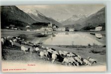 7553 Tarasp - See Schafherde