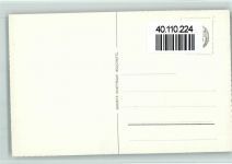 2000 Neuchâtel Neuenburg - Schwäne Ortsansicht vom See