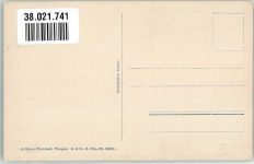 3823 Wengen Foto AK Hotel Regina Blümlisalp