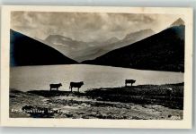 7050 Arosa - Schwellisee Kühe Verlag Wehrli