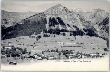1660 Château-d´Oex - Teilansicht