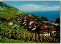 2513 Twann 1978 - Douanne Bielersee Reben