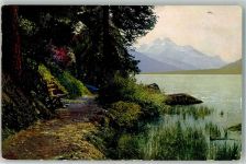 7513 Silvaplana 1915 - Campfersee Photochromie Serie 233 Nr. 3773