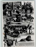 Zürich Mehrfachbilder AK Zoo 1938