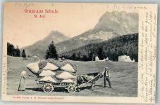 7550 Scuol Schuls 1902 Foto AK Bauern bei der Ernte Ochsenkarren St. Jon