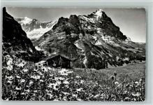 3818 Grindelwald - Berghütte Fiescherhorn u. Eiger