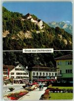 9490 Vaduz Foto AK Schloss Blumen Fahne Blau Rot Hotel Auto