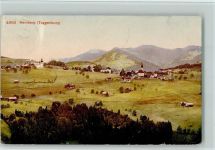 9633 Hemberg 1910 - Toggenburg