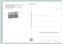 9050 Appenzell - Appenzellerhaus Blick gegen Bogartenfirst Marwees Altmann Ebenalp