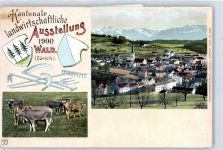 8636 Wald ZH - Kantonale landwirtschaftliche Ausstellung