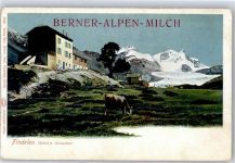 Findelen VS Werbe AK Hotel Kuh Werbung Berner-Alpen-Milch