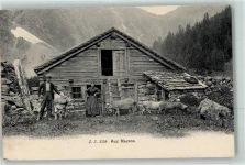 1992 Les Mayens-de-Sion 1905 - Schweine Kühe