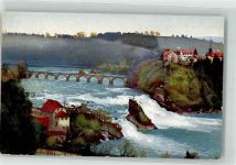 8447 Dachsen Laufen am Rheinfall - Photochromie Serie 170 Nr. 3021 Schloss