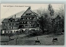 8835 Feusisberg 1914 - Hotel Pension Frohe Aussicht