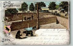 3000 Bern Berne 1902 Lithographie Bärengraben Bären