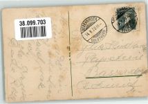 Basel Bâle Vogelschau Puma Zoo 1920 Künstlerkarte