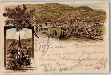 8636 Wald ZH 1898 Lithographie Kirche