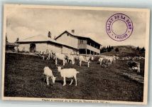 1325 Vaulion 1923 Foto AK Ziege Hüttenstempel Chalet de la Dent