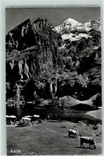 3718 Kandersteg - Oeschinensee Blümlisalp