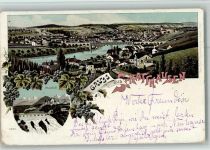 8200 Schaffhausen Sciaffusa Lithographie Rheinfall Trauben Reben Verlag Metz