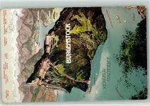 6363 Bürgenstock - Vogelschau