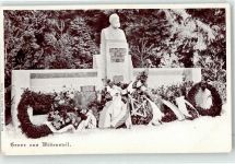 8820 Wädenswil - Walter Hauser Denkmal