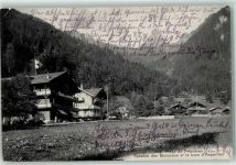 1880 Bex 1913 - Plans de Frenieres Pension des Muverans et le Lion d'Argentine