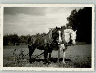 2013 Colombier NE Foto AK Pferde - Gespann Acker Ort handschriftlich