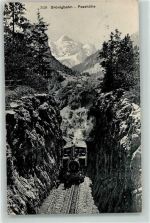 3860 Brünig 1907 - Passhöhe Brünigbahn