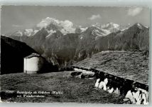 3925 Grächen 1981 Foto AK Hannigalp