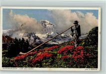 Kleine Scheidegg Cor des Alpes Alphorn
