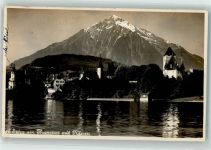 3700 Spiez - Schloss Niesen