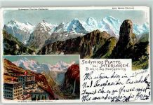 Interlaken Schynige Platte Blick in das Hochgebirg Serie Berner Oberland Steinmann 1901 Lithographie