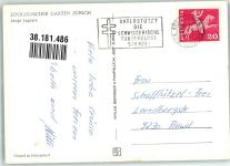 Zürich Junge Jaguare Zoo