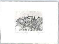 5600 Lenzburg Radierung Schloss