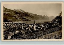 8880 Wallenstadt 1914