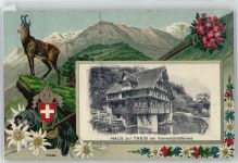 6377 Treib Seelisberg - Haus zur Treib verziert , Prägedruck
