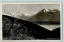 3624 Goldiwil (Thun)