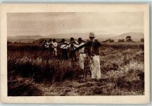 Landwirtschaft - Heuernte mit der Sense AK Klaus Schokolade 1918
