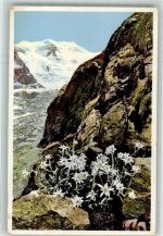 Bernina - Edelweis Photochromie Serie 581 Nr. 1495