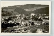 2108 Couvet - Kühe