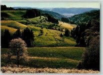 8495 Sitzberg Schmidrüti - Züricher Oberland