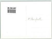 8200 Schaffhausen Sciaffusa Foto AK Rheinfall