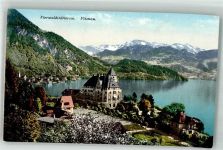 6354 Vitznau Foto AK Vierwaldstättersee Park- Hotel
