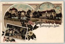 4103 Bottmingen 1898 Lithographie Schloss Hotel Schloss Allee