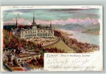 Zürich 1901 Hotel Waldhaus Dolder sign Steinmann C. Serie Zürich Steinmann Lithographie