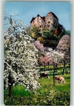 5103 Wildegg - Serie Das Seetal und seine Schlösser
